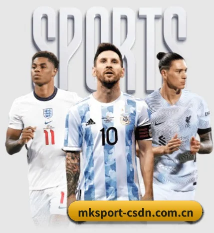 深度观赛前哨建立（MKSPORTS）